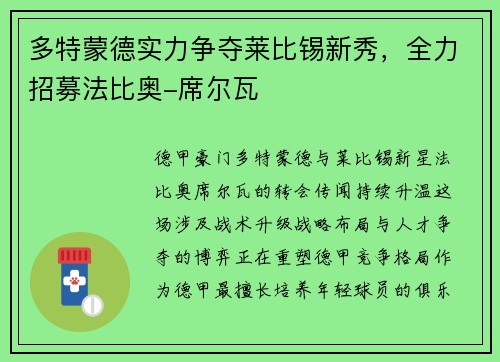 多特蒙德实力争夺莱比锡新秀，全力招募法比奥-席尔瓦